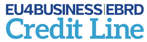 Logo EU4Business